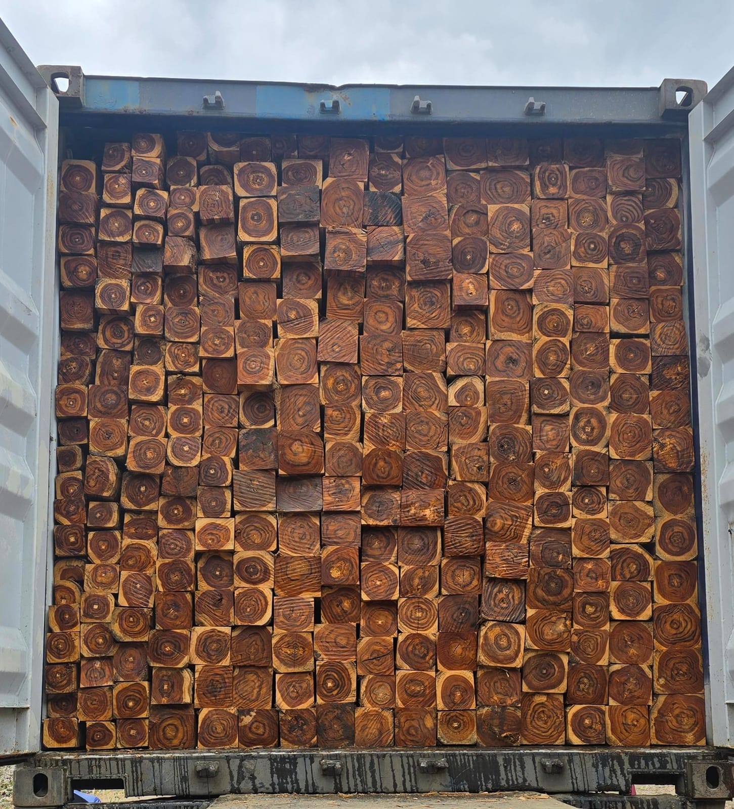 Piezas de madera escuadrada cuidadosamente acomodadas dentro de un contenedor abierto.